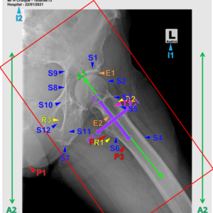 HIP - LATERAL/AXIOLATERAL (3 CEUs)